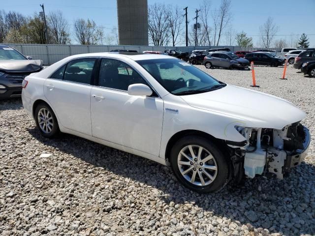 2010 Toyota Camry Hybrid