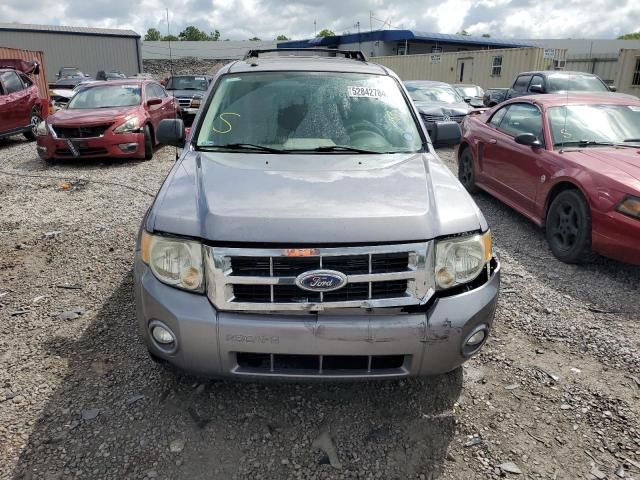 2008 Ford Escape XLT