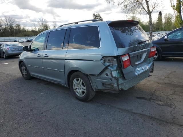 2005 Honda Odyssey EXL