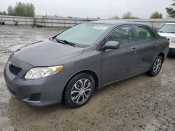 Salvage cars for sale from Copart Arlington, WA: 2009 Toyota Corolla Base