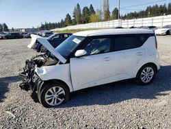 Salvage cars for sale at Graham, WA auction: 2023 KIA Soul LX