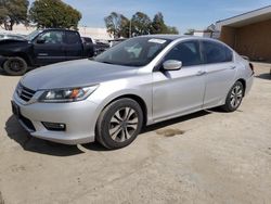 Salvage cars for sale at Vallejo, CA auction: 2013 Honda Accord LX