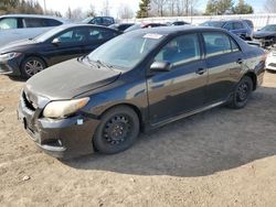 Salvage cars for sale from Copart Ontario Auction, ON: 2009 Toyota Corolla XRS