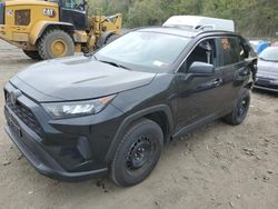 Toyota rav4 le Vehiculos salvage en venta: 2020 Toyota Rav4 LE