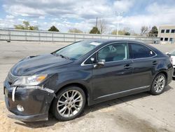 Lexus salvage cars for sale: 2010 Lexus HS 250H