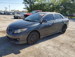 Salvage cars for sale at Lexington, KY auction: 2009 Toyota Corolla Base