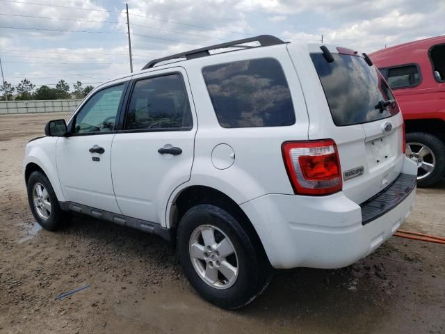 2010 Ford Escape XLT