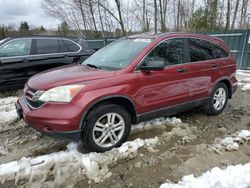 Salvage cars for sale at Candia, NH auction: 2010 Honda CR-V EX