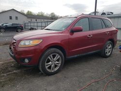 Hyundai Santa fe Vehiculos salvage en venta: 2011 Hyundai Santa FE Limited