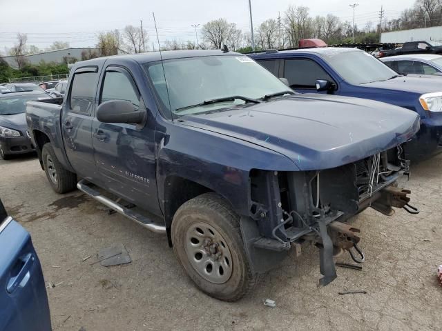 2010 Chevrolet Silverado K1500 LS