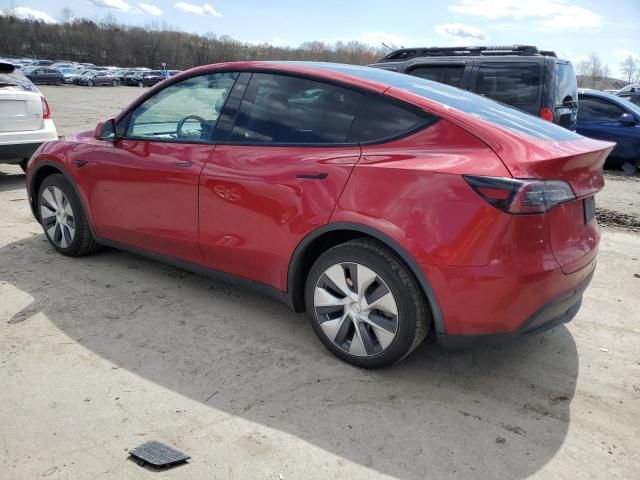 2020 Tesla Model Y