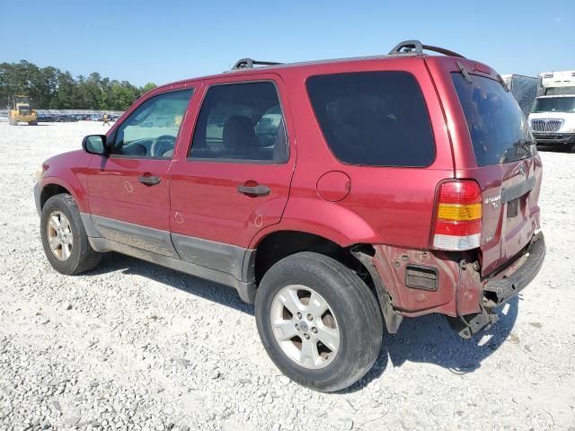 2005 Ford Escape XLT