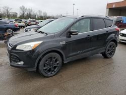 Salvage cars for sale at Fort Wayne, IN auction: 2015 Ford Escape Titanium