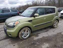 Salvage cars for sale at Ellwood City, PA auction: 2010 KIA Soul +