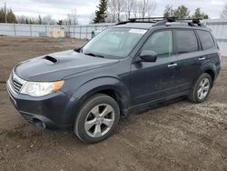 Salvage cars for sale from Copart Bowmanville, ON: 2010 Subaru Forester 2.5XT Limited