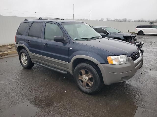 2002 Ford Escape XLT