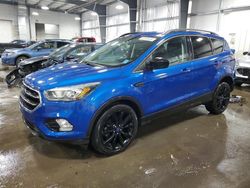 Salvage cars for sale at Ham Lake, MN auction: 2017 Ford Escape SE