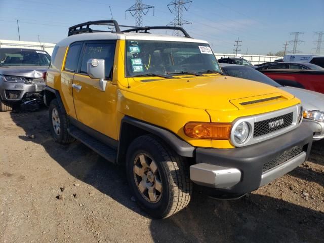 2007 Toyota FJ Cruiser