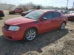 Salvage cars for sale at Hillsborough, NJ auction: 2013 Dodge Avenger R/T