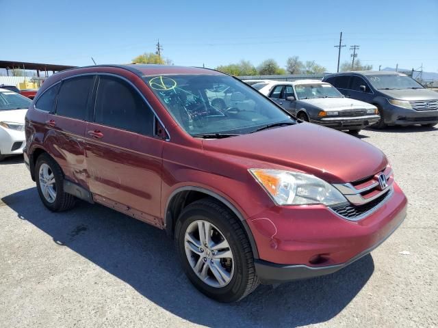 2010 Honda CR-V EXL