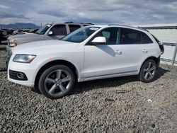Salvage cars for sale from Copart Reno, NV: 2014 Audi Q5 TDI Premium Plus