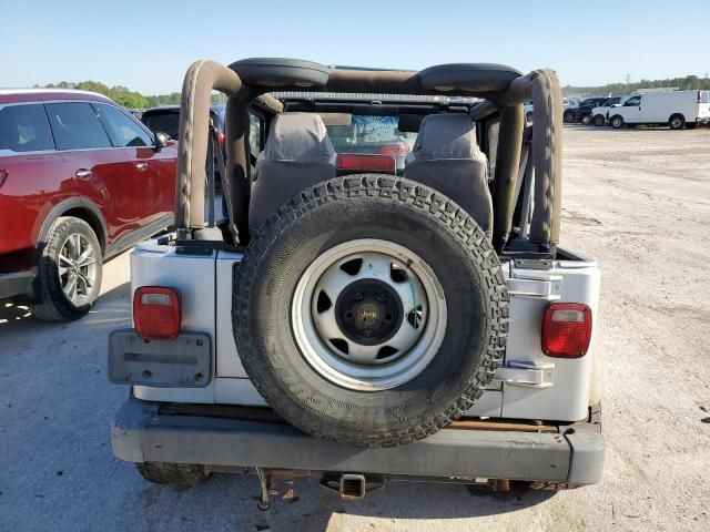 2004 Jeep Wrangler / TJ SE