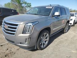 Salvage cars for sale from Copart Baltimore, MD: 2018 Cadillac Escalade Premium Luxury