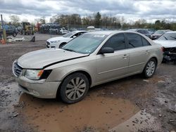 Salvage cars for sale from Copart Chalfont, PA: 2009 Hyundai Sonata SE