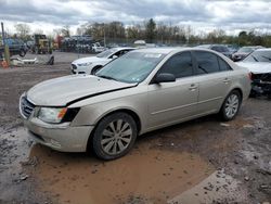 2009 Hyundai Sonata SE for sale in Chalfont, PA