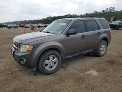 Ford Escape XLT salvage cars for sale: 2010 Ford Escape XLT