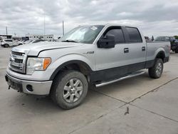 Salvage trucks for sale at Grand Prairie, TX auction: 2013 Ford F150 Supercrew