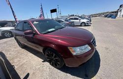 Vehiculos salvage en venta de Copart Orlando, FL: 2010 Hyundai Sonata GLS