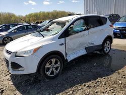 Ford Escape se Vehiculos salvage en venta: 2013 Ford Escape SE