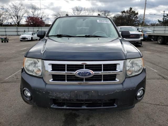 2008 Ford Escape XLT