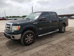 Salvage cars for sale at Temple, TX auction: 2013 Ford F150 Supercrew