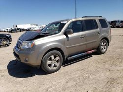 Salvage cars for sale from Copart Amarillo, TX: 2011 Honda Pilot EXL