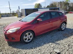 Ford Focus SE salvage cars for sale: 2013 Ford Focus SE