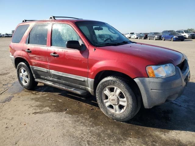 2004 Ford Escape XLT