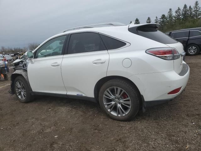 2013 Lexus RX 450