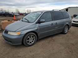 Salvage cars for sale from Copart Rocky View County, AB: 2000 Honda Odyssey EX