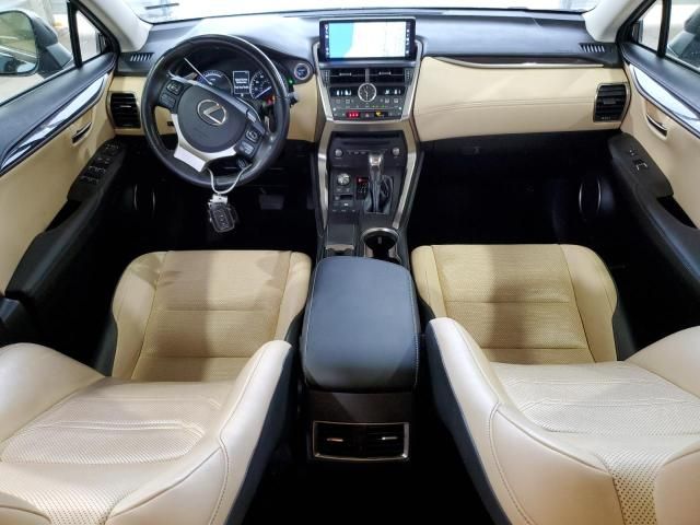 2020 Lexus NX 300H Luxury