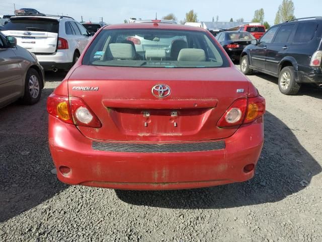 2010 Toyota Corolla Base