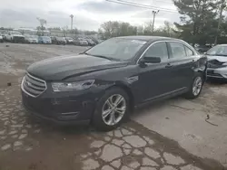 Salvage cars for sale at Lexington, KY auction: 2013 Ford Taurus SEL