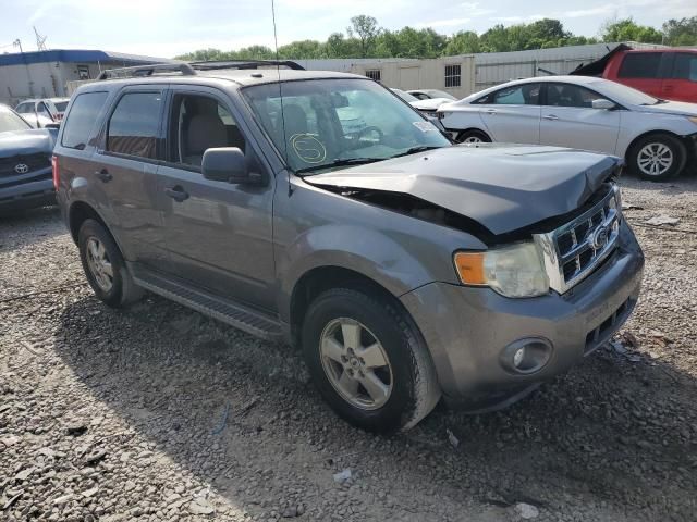 2011 Ford Escape XLT