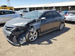 Salvage cars for sale from Copart Phoenix, AZ: 2013 Toyota Corolla Base