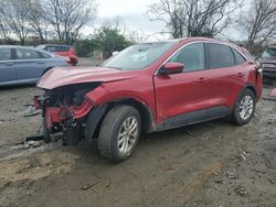 Salvage cars for sale at Baltimore, MD auction: 2020 Ford Escape SE