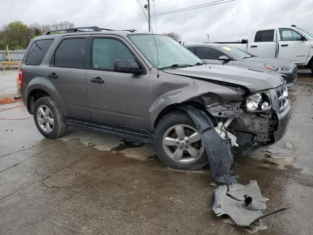 2012 Ford Escape XLT