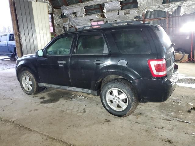 2009 Ford Escape XLT