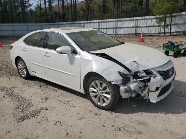 2013 Lexus ES 300H