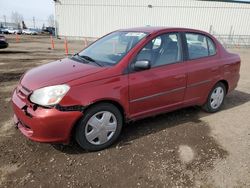 Salvage cars for sale from Copart Rocky View County, AB: 2002 Toyota Echo